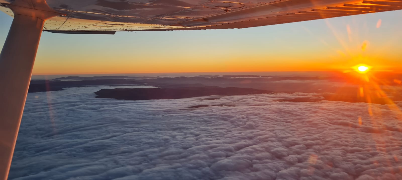 eb71e433-1c6f-4992-a4a5-9c3ec9eb6a2f